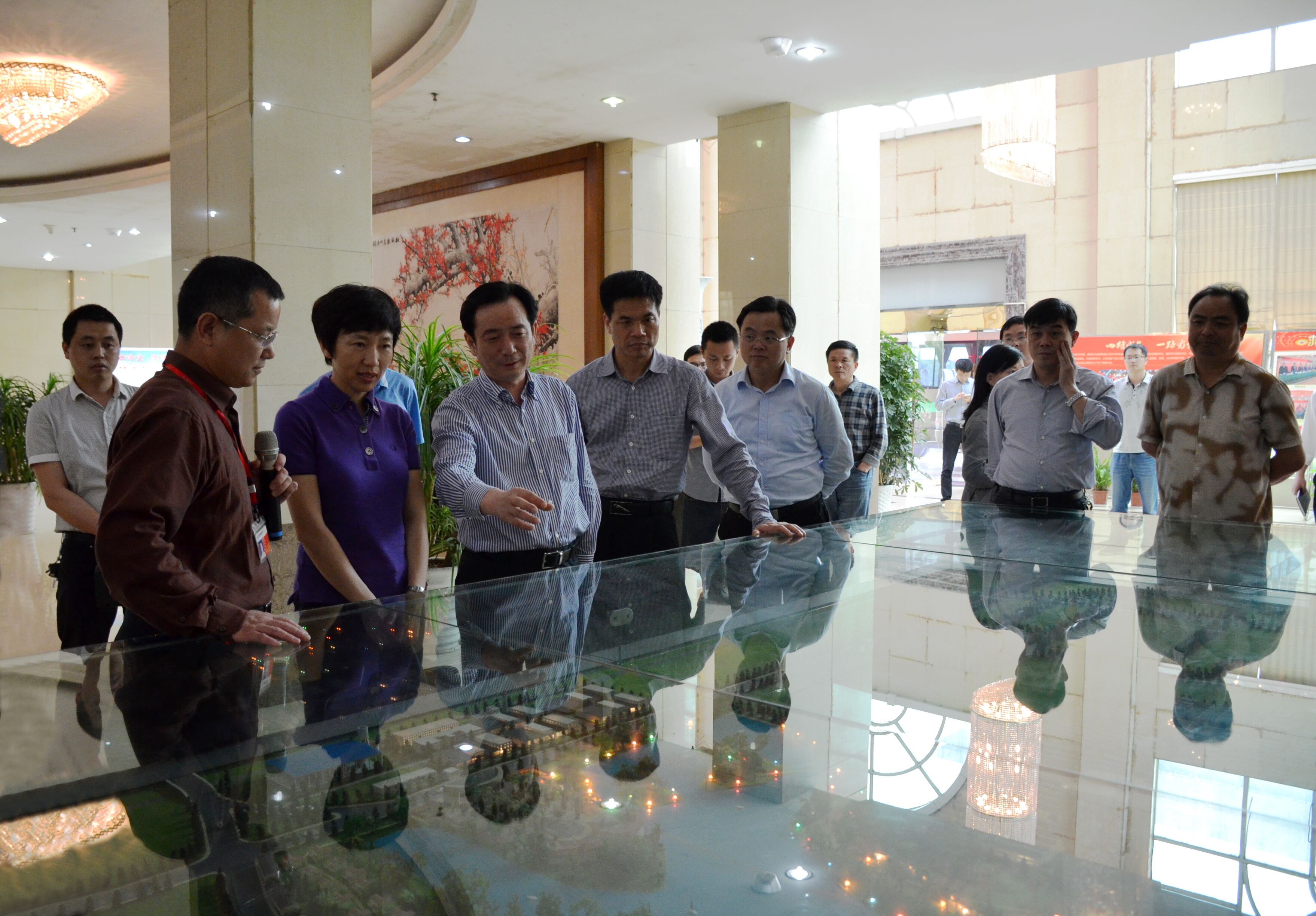 國務(wù)院促進(jìn)民間投資專項督查組蒞臨我市司考察調(diào)研